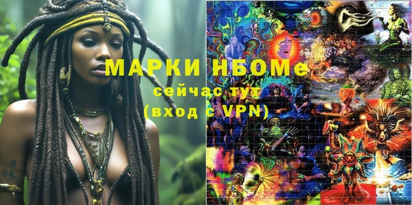 PSILOCYBIN Алзамай