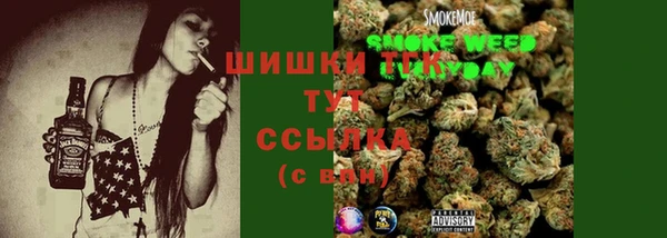 PSILOCYBIN Алзамай