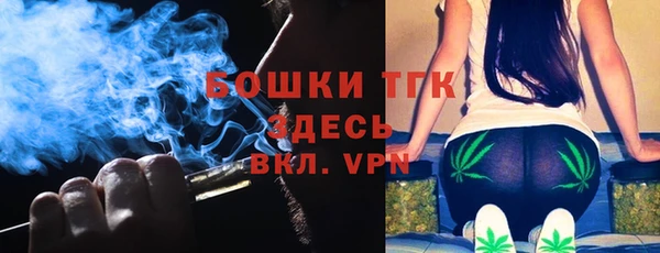 PSILOCYBIN Алзамай