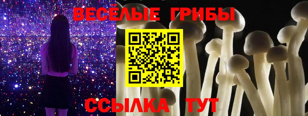 Гурьевск  Галлюциногенные грибы Psilocybine cubensis  Вход с VPN 